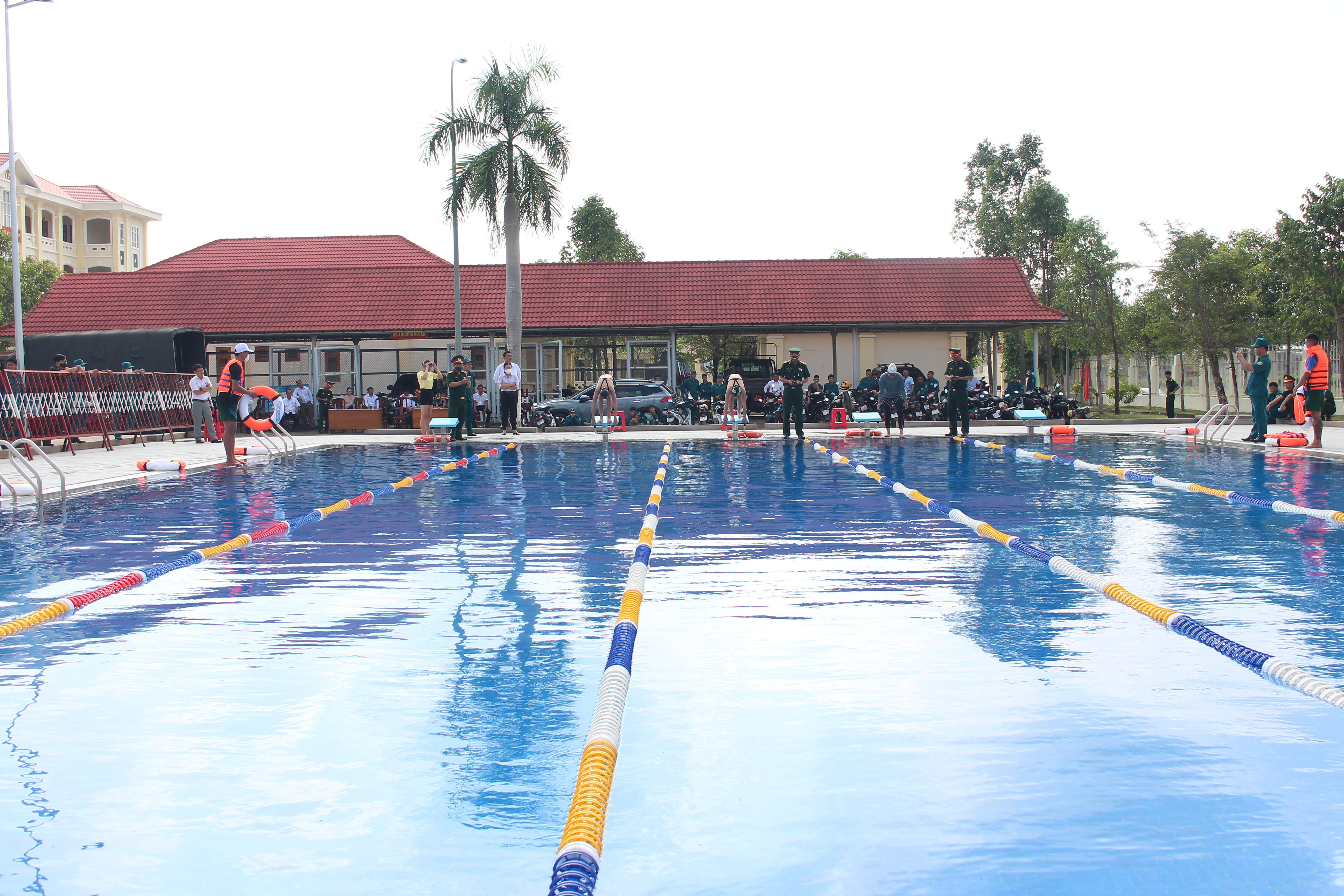 Các vận động viên tham gia thi đấu bơi tự do 100 mét.