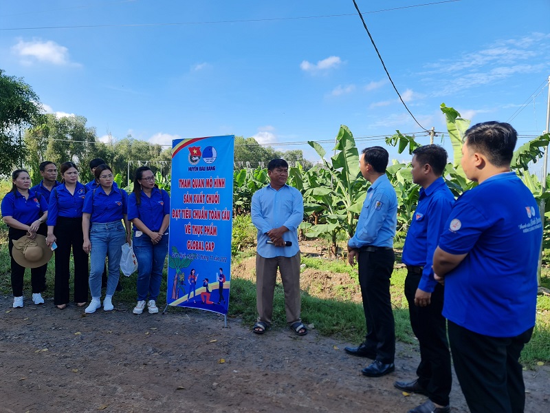 Chương trình tham quan Mô hình sản xuất chuối đạt tiêu chuẩn toàn cầu Global GAP dành cho đoàn viên, hội viên, thanh niên huyện Bàu Bàng