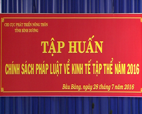 Tập huấn chính sách, pháp luật về Kinh tế tập thể trên địa bàn huyện Bàu Bàng