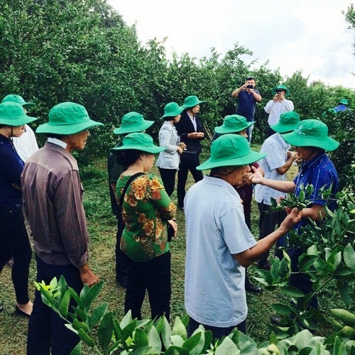 Nông dân huyện Bàu Bàng hướng tới sản xuất nông nghiệp kỹ thuật cao và tạo ra sản phẩm an toàn