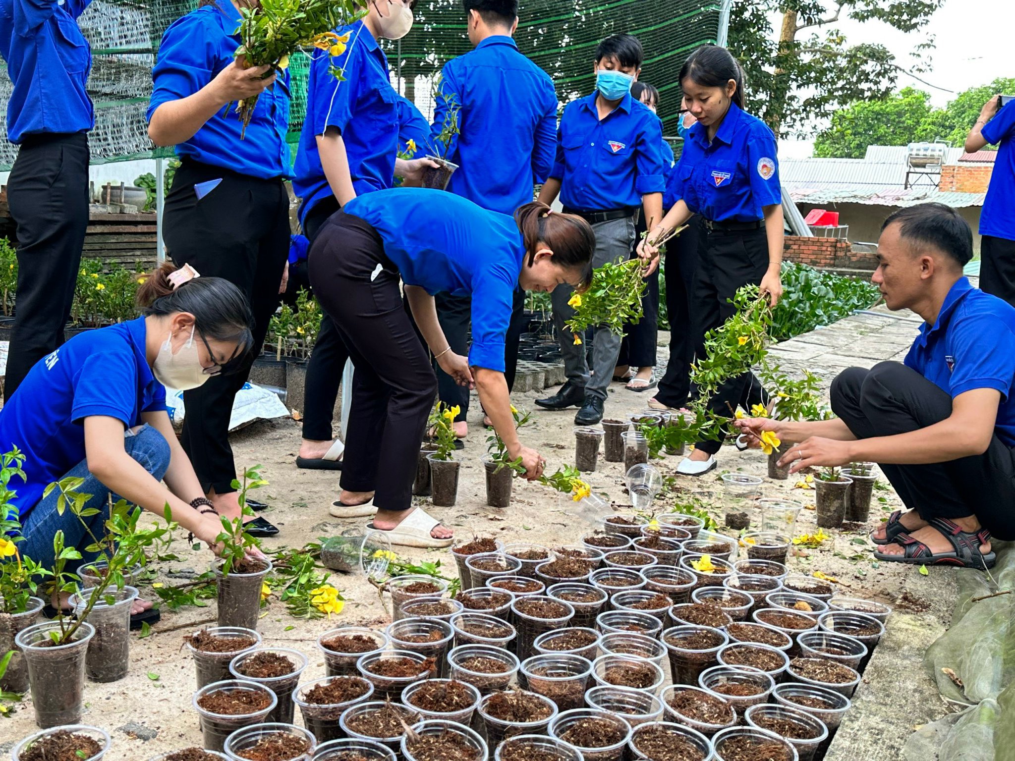 Đoàn viên thanh niên tham gia trồng mới cây xanh trong khuôn khổ “Ngày chủ nhật xanh” lần IV năm 2023.