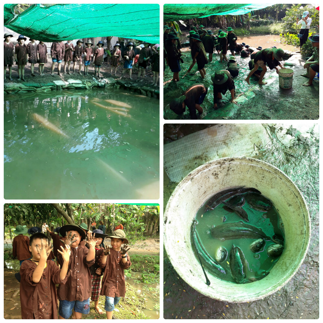 Tổ chức tham quan trải nghiệm cho học sinh tại nông trại Tree ở thị xã Thuận An, Bình Dương
